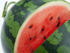 莘县在哪吃瓜,莘县特色瓜果美食之旅  第2张